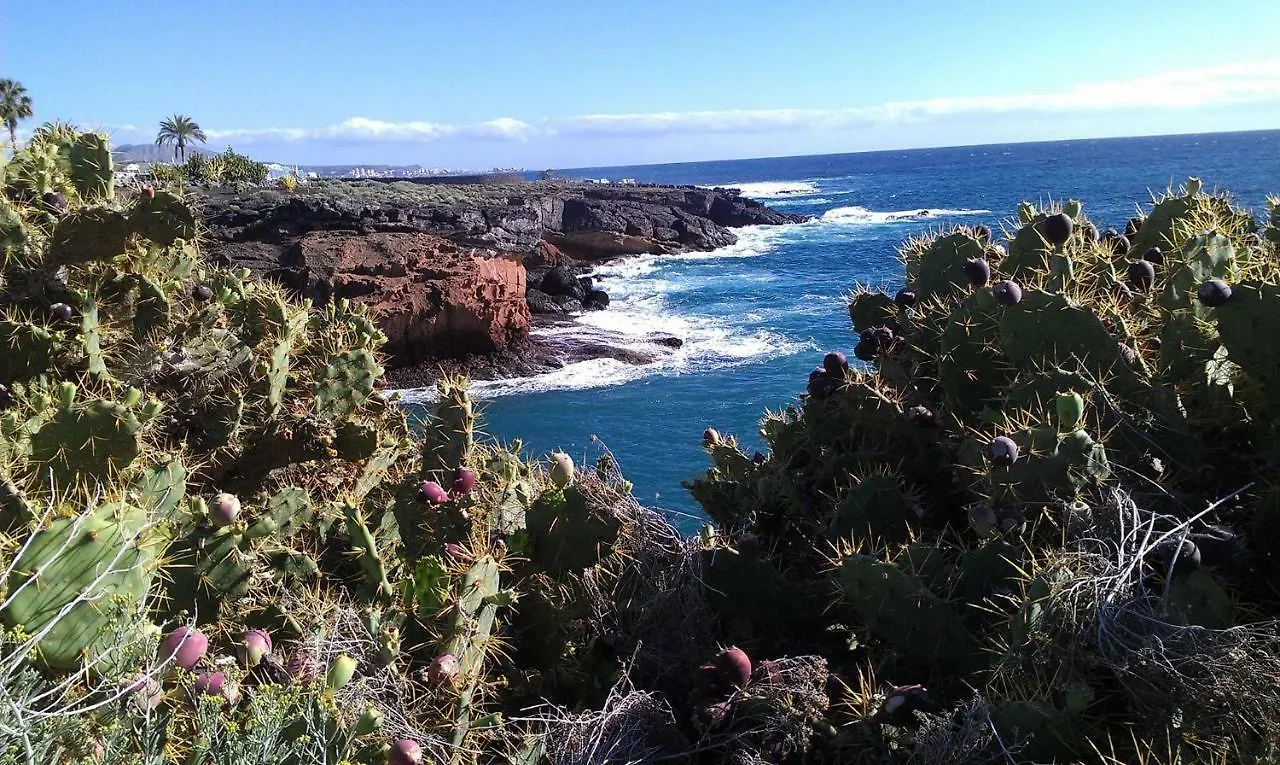 Ocean View Studio Costa Adeje  Costa Adeje (Tenerife)